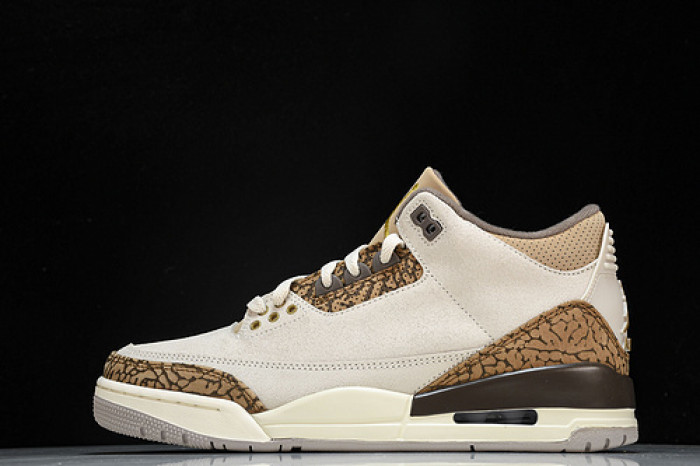 Air Jordan 3 