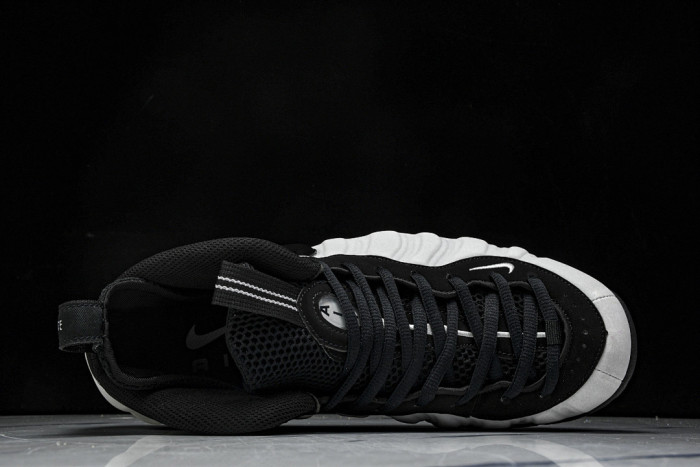 Nike Air Foamposite Metallic Silver HF0794-001