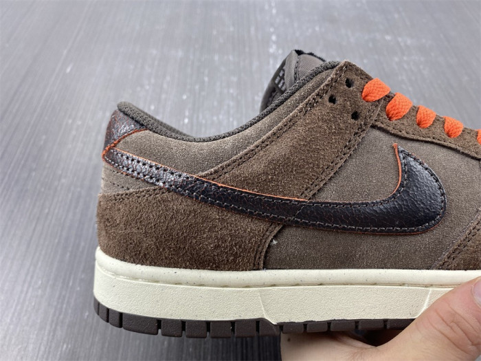 Nike Dunk Low Retro  DQ8801-200